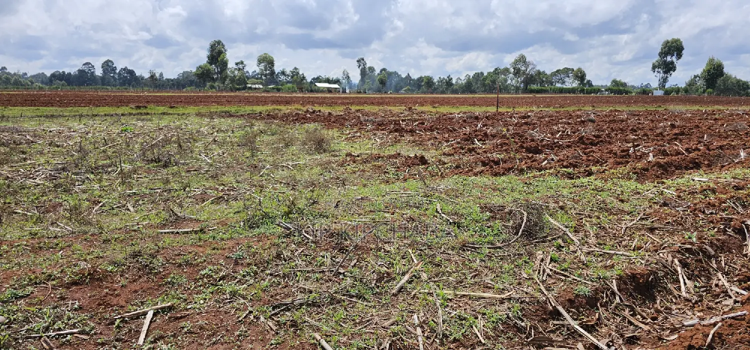 1/4 Acre Property for Sale in Eldoret's Marura Sololo Neighborhood in Kimumu