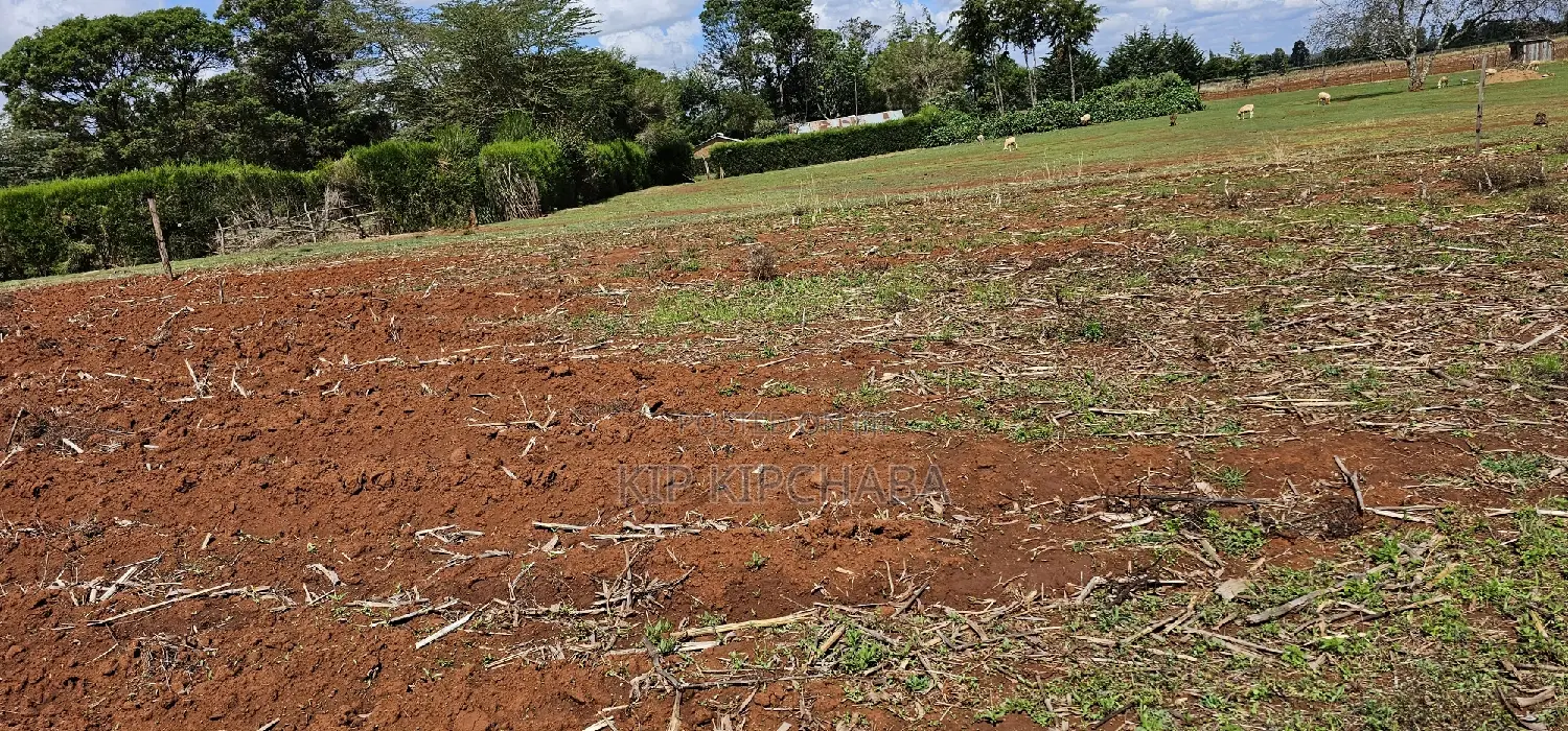 1/4 Acre Property for Sale in Eldoret's Marura Sololo Neighborhood in Kimumu