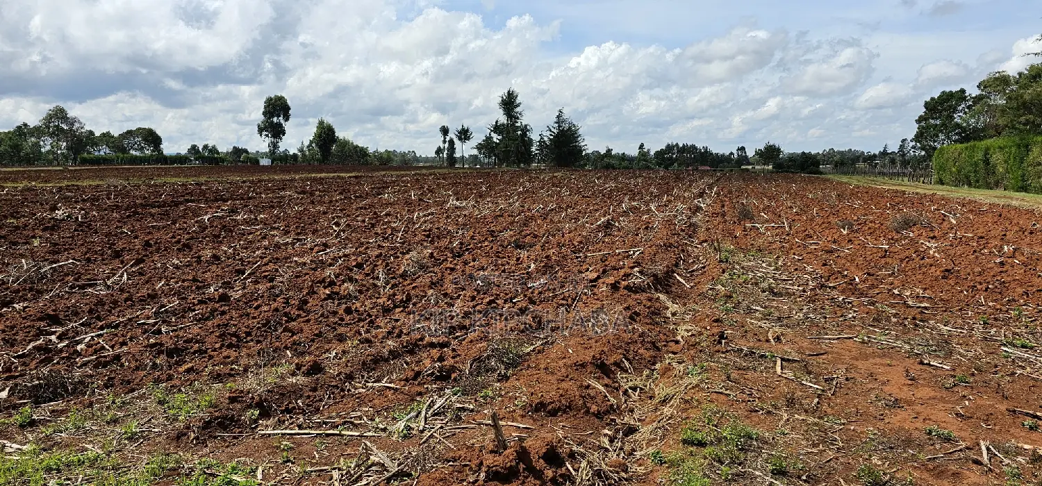 1/4 Acre Property for Sale in Eldoret's Marura Sololo Neighborhood in Kimumu