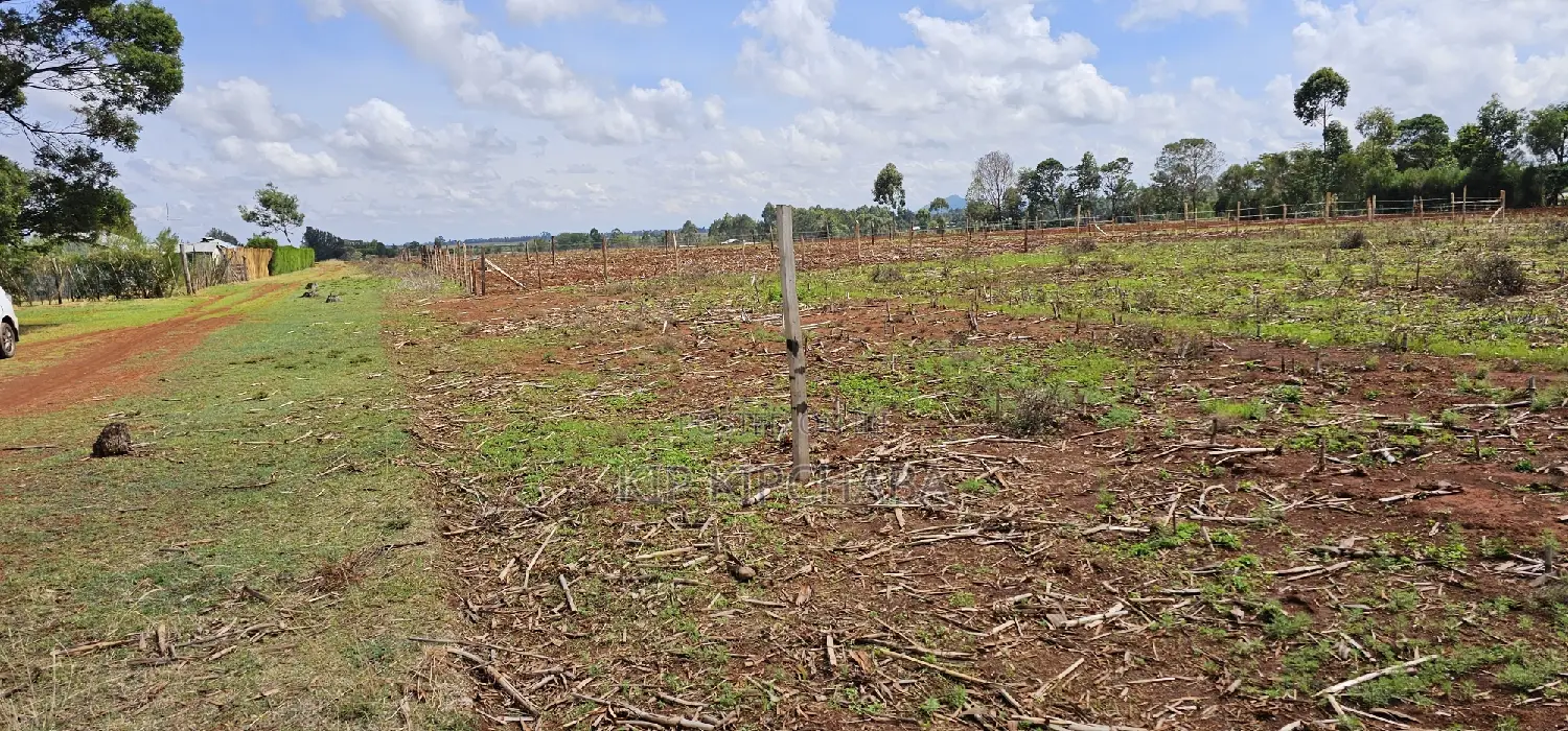 1/4 Acre Property for Sale in Eldoret's Marura Sololo Neighborhood in Kimumu