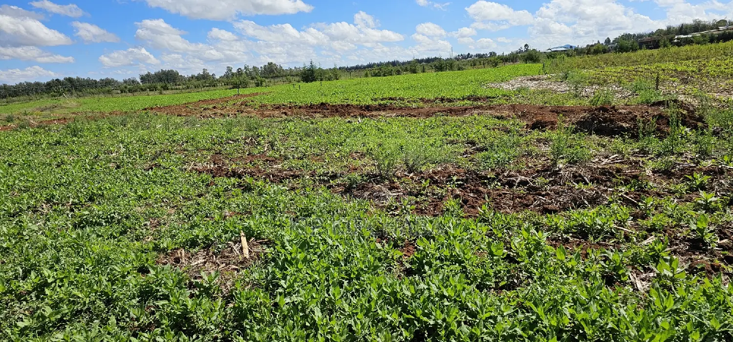 Top Commercial Plots for Sale in Kimumu Marura, Eldoret - Invest in Prime Real Estate in Kimumu
