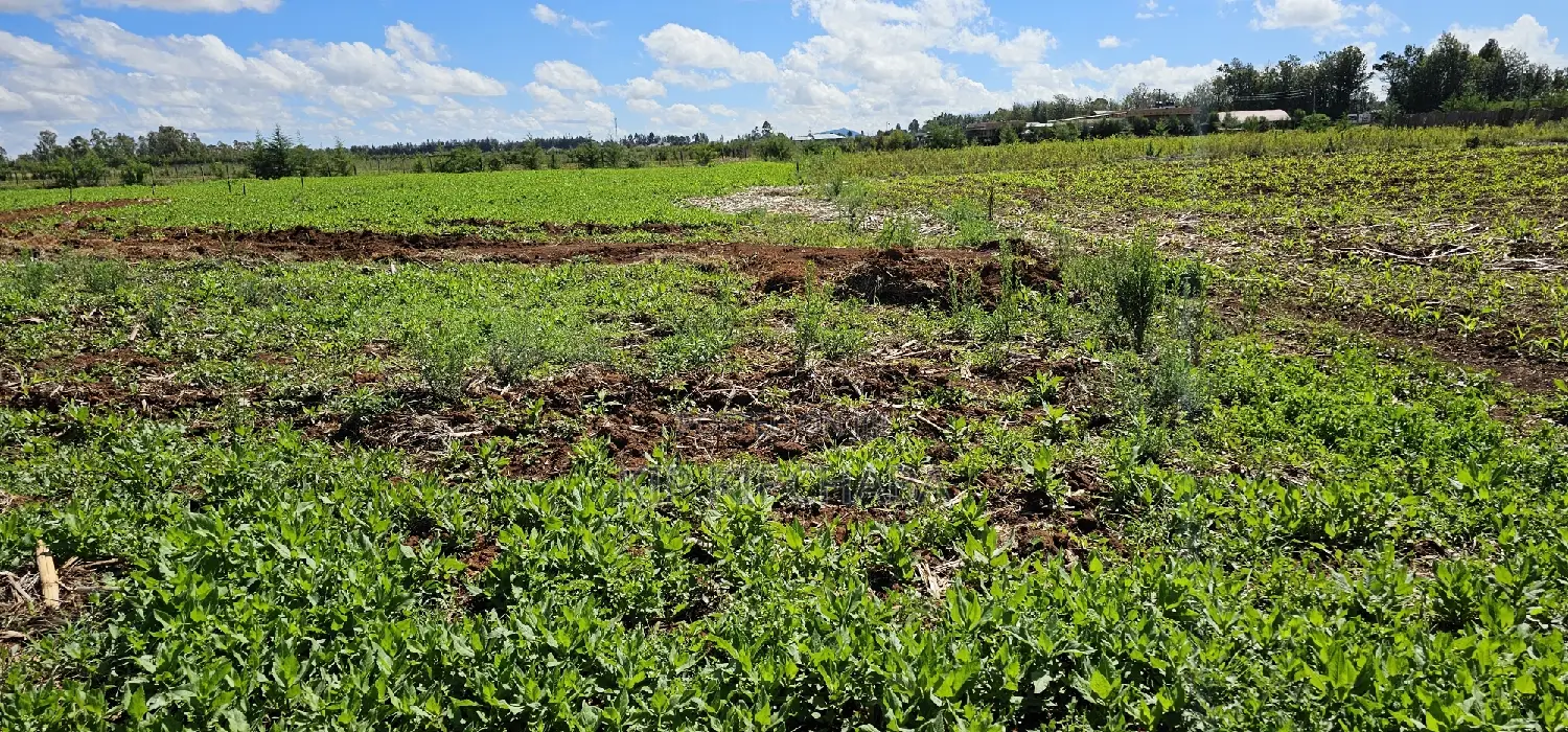 Top Commercial Plots for Sale in Kimumu Marura, Eldoret - Invest in Prime Real Estate in Kimumu