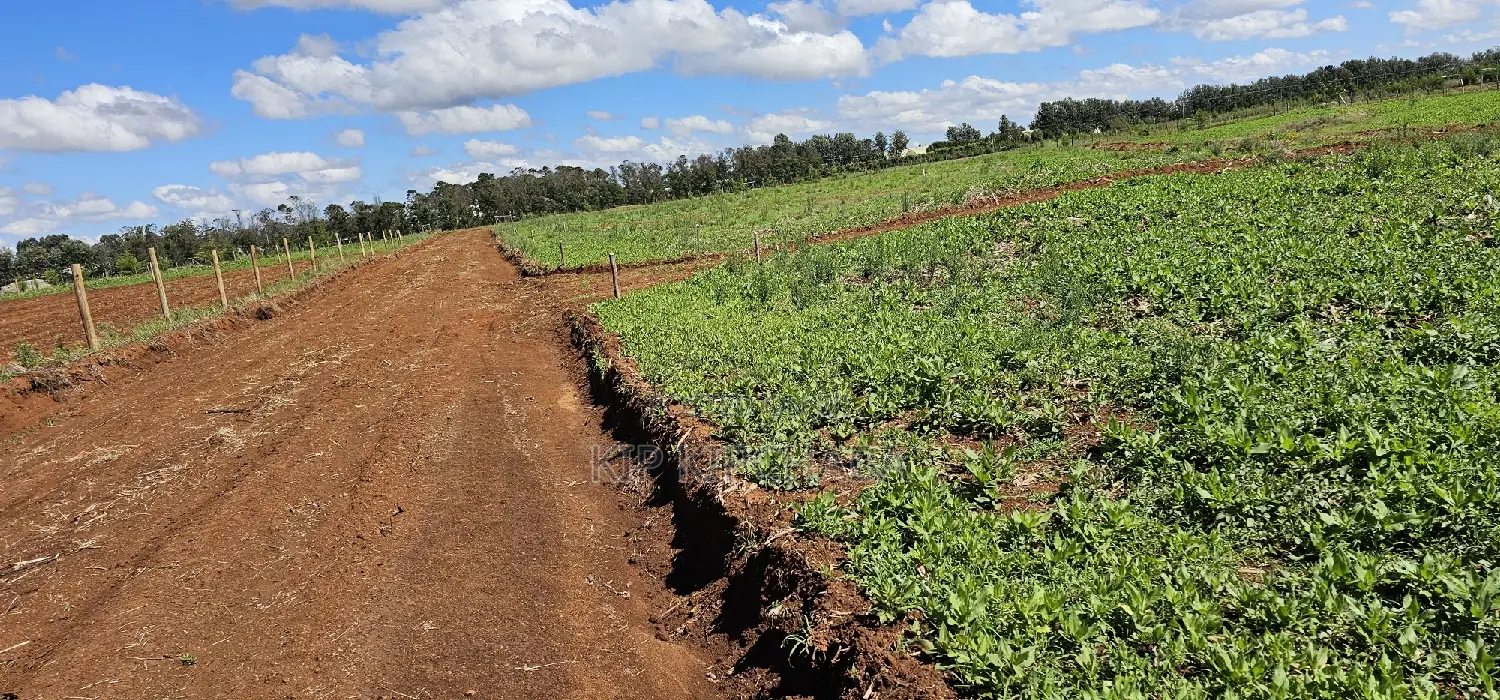 Top Commercial Plots for Sale in Kimumu Marura, Eldoret - Invest in Prime Real Estate in Kimumu