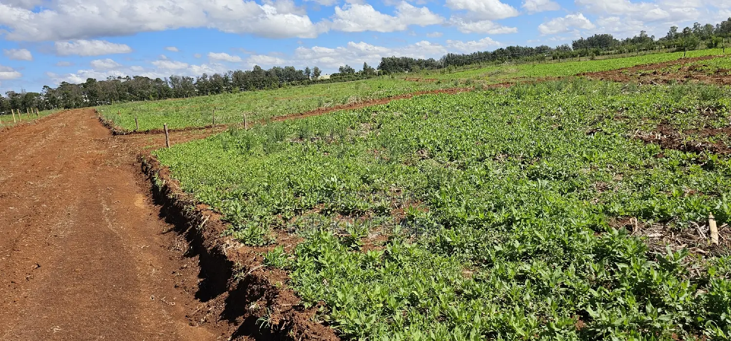 Top Commercial Plots for Sale in Kimumu Marura, Eldoret - Invest in Prime Real Estate in Kimumu