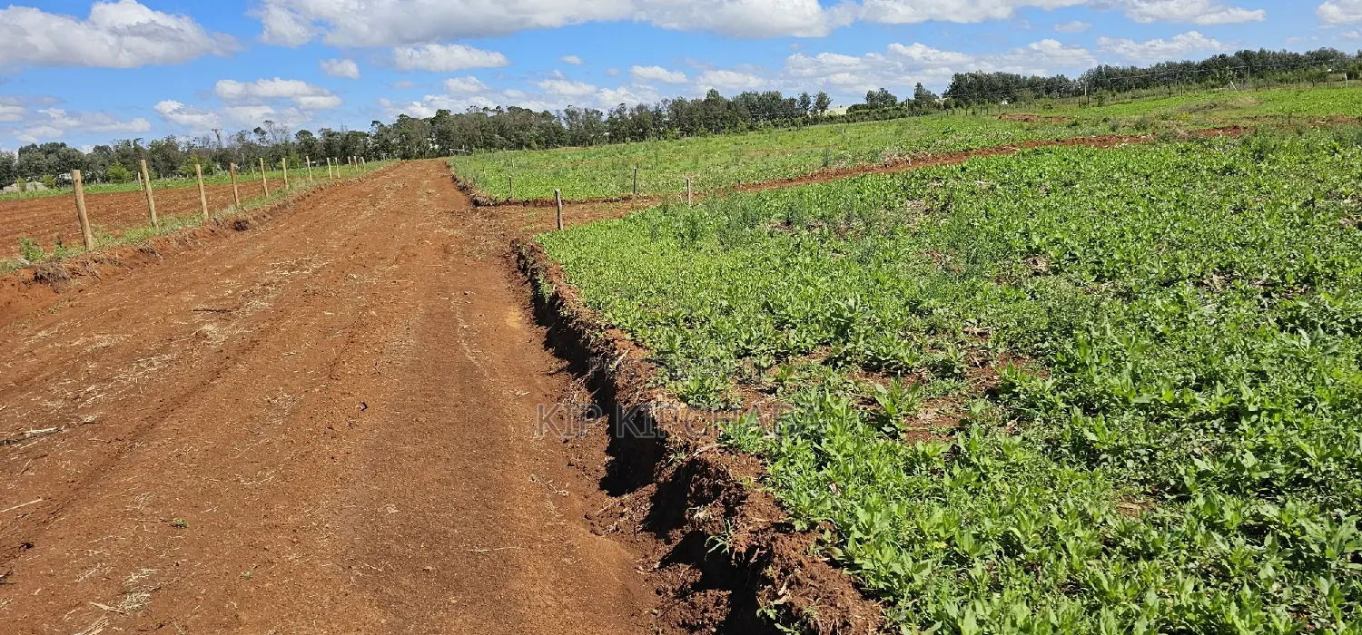 Top Commercial Plots for Sale in Kimumu Marura, Eldoret - Invest in Prime Real Estate in Kimumu