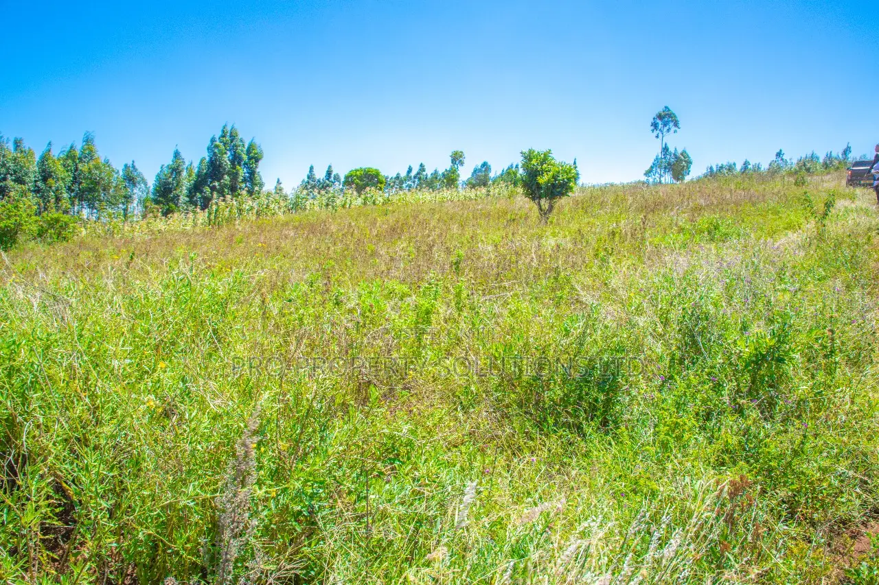 Spacious Land Plots for Sale in Kikuyu, Kamangu in Kikuyu