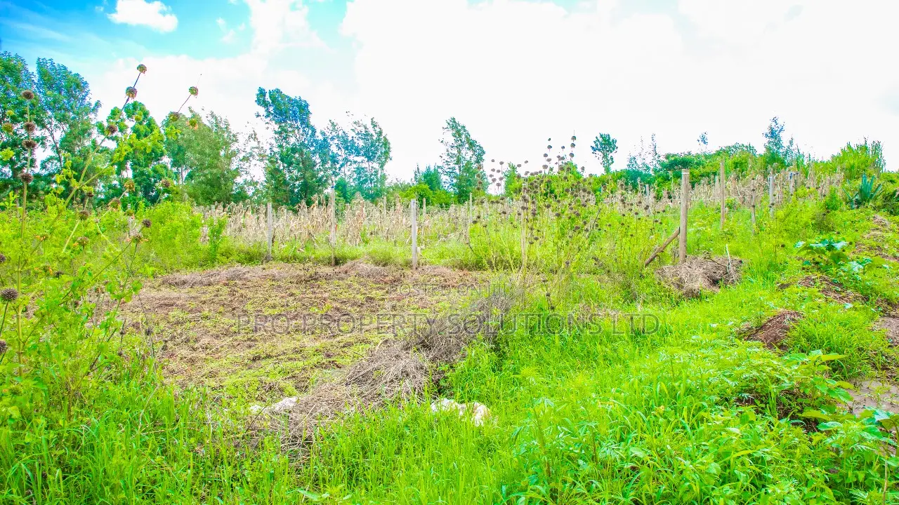 Spacious Residential Plot for Sale in Gikambura, Kikuyu in Kikuyu