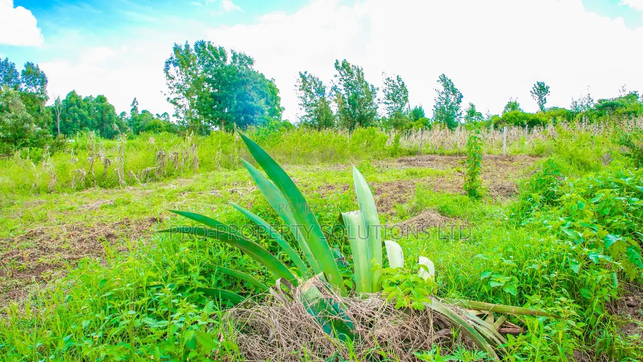 Spacious Residential Plot for Sale in Gikambura, Kikuyu in Kikuyu