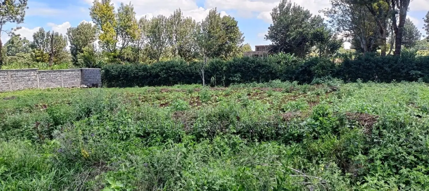 Plots for Sale in Kikuyu Ondiri - 50 Available Now! in Kikuyu
