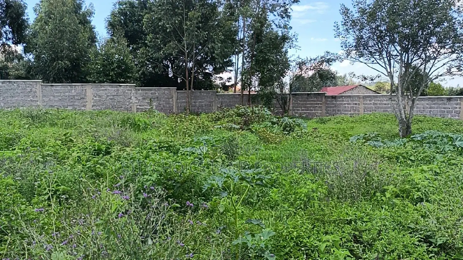 Plots for Sale in Kikuyu Ondiri - 50 Available Now! in Kikuyu