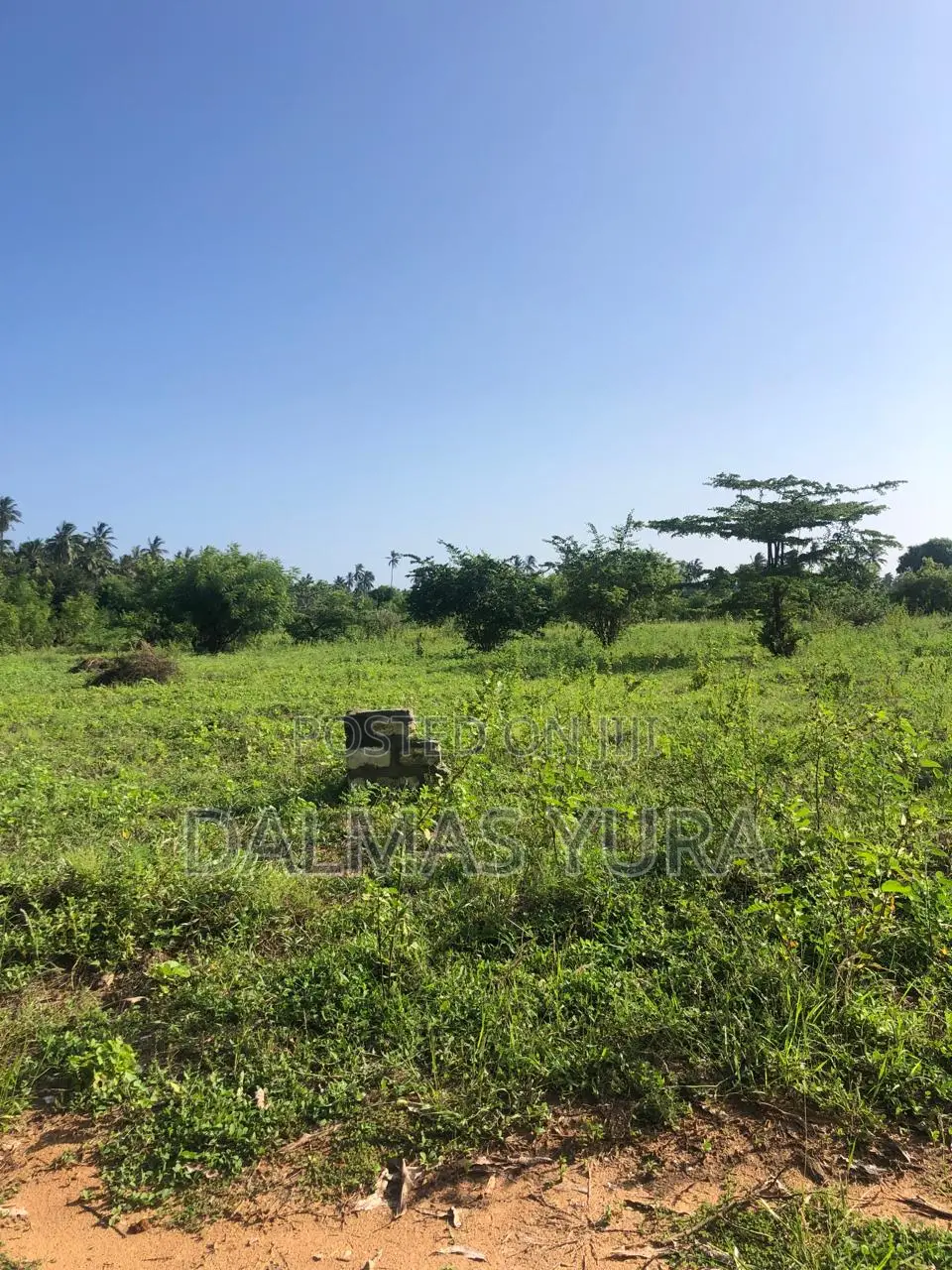Acre Land in Gede, Watamu - Exclusive Real Estate Opportunity in Watamu