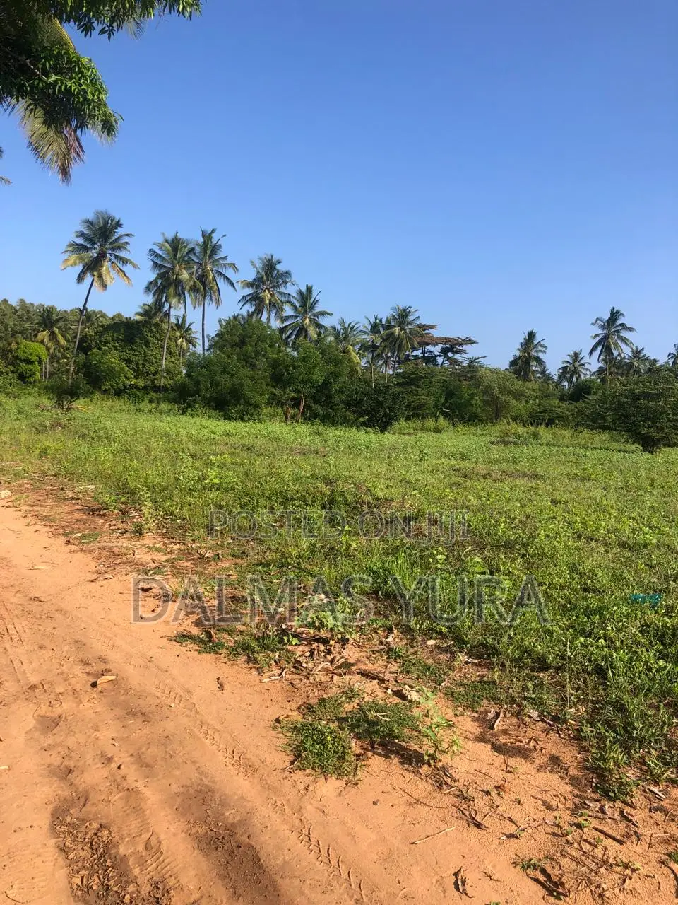Acre Land in Gede, Watamu - Exclusive Real Estate Opportunity in Watamu