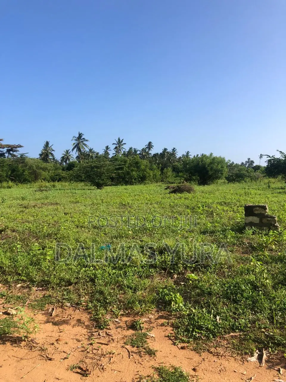Acre Land in Gede, Watamu - Exclusive Real Estate Opportunity in Watamu