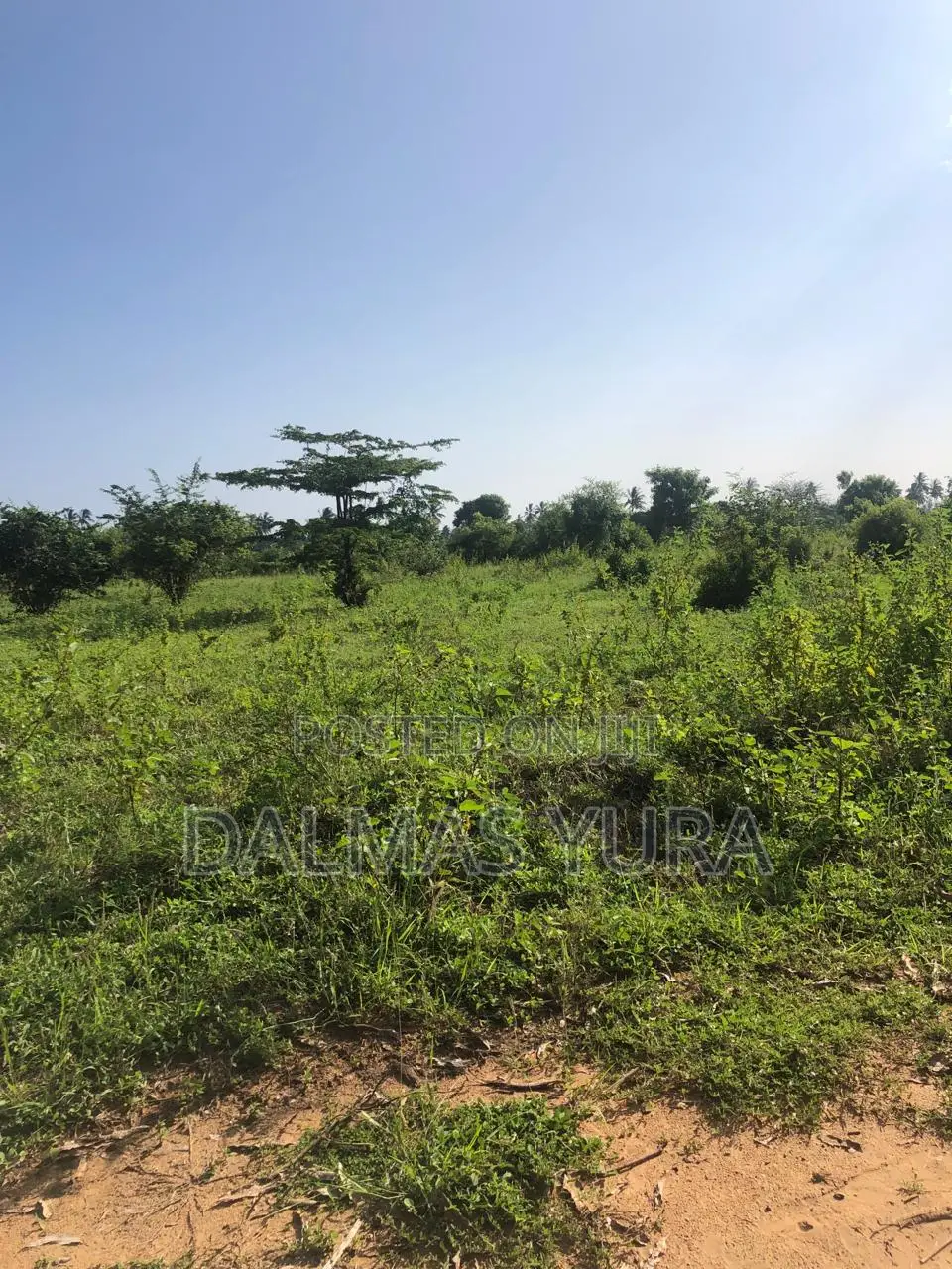 Acre Land in Gede, Watamu - Exclusive Real Estate Opportunity in Watamu