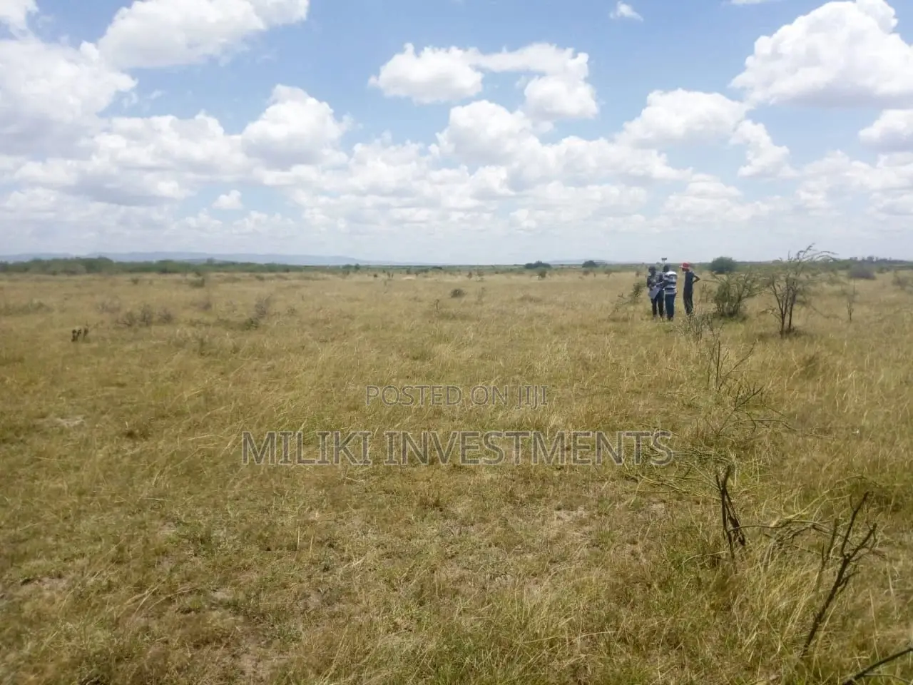 50x100 Plot in Juja Farm - Perfect for Your Dream Home or Business! in Juja