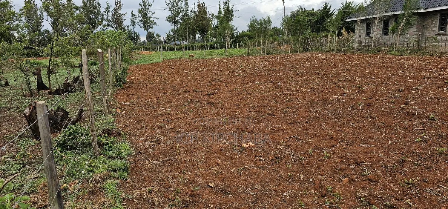 Cheap 1/4 Plot in Prime Chepkanga Eldoret - Own Your Dream Home Now! in Kimumu
