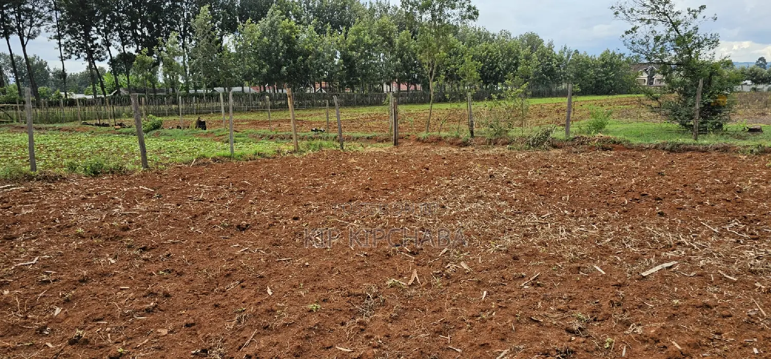 Cheap 1/4 Plot in Prime Chepkanga Eldoret - Own Your Dream Home Now! in Kimumu