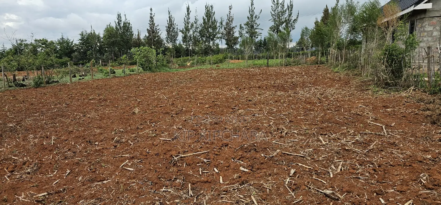 Cheap 1/4 Plot in Prime Chepkanga Eldoret - Own Your Dream Home Now! in Kimumu