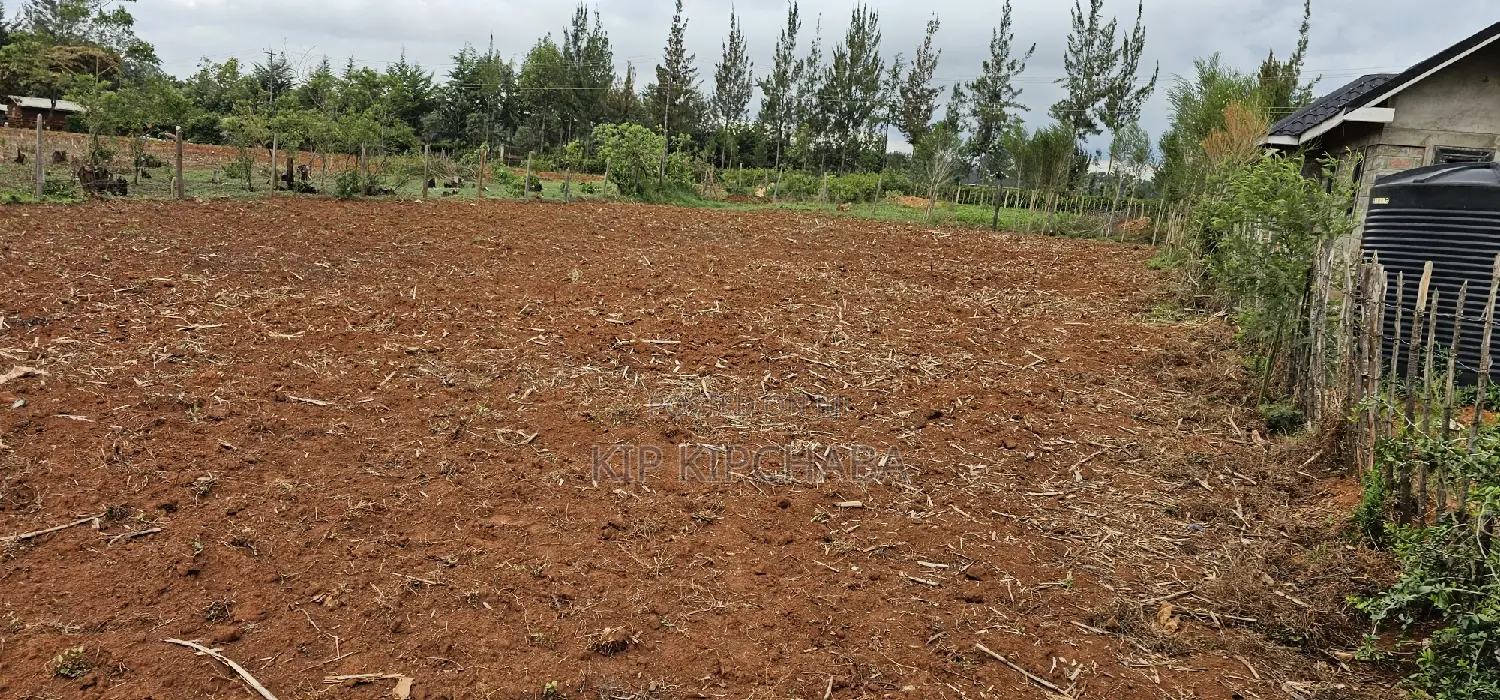 Cheap 1/4 Plot in Prime Chepkanga Eldoret - Own Your Dream Home Now! in Kimumu