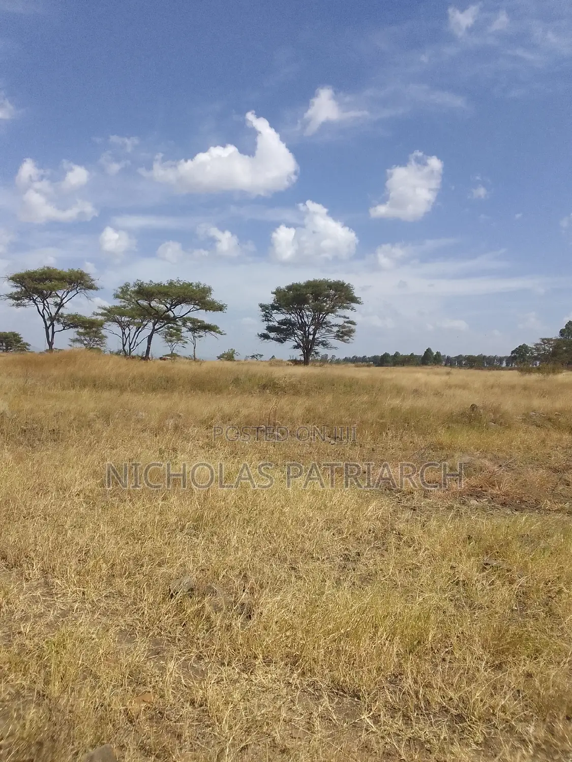 22 Acres Juja Touching Thika Highway Selling at 45m Per Acre in Juja
