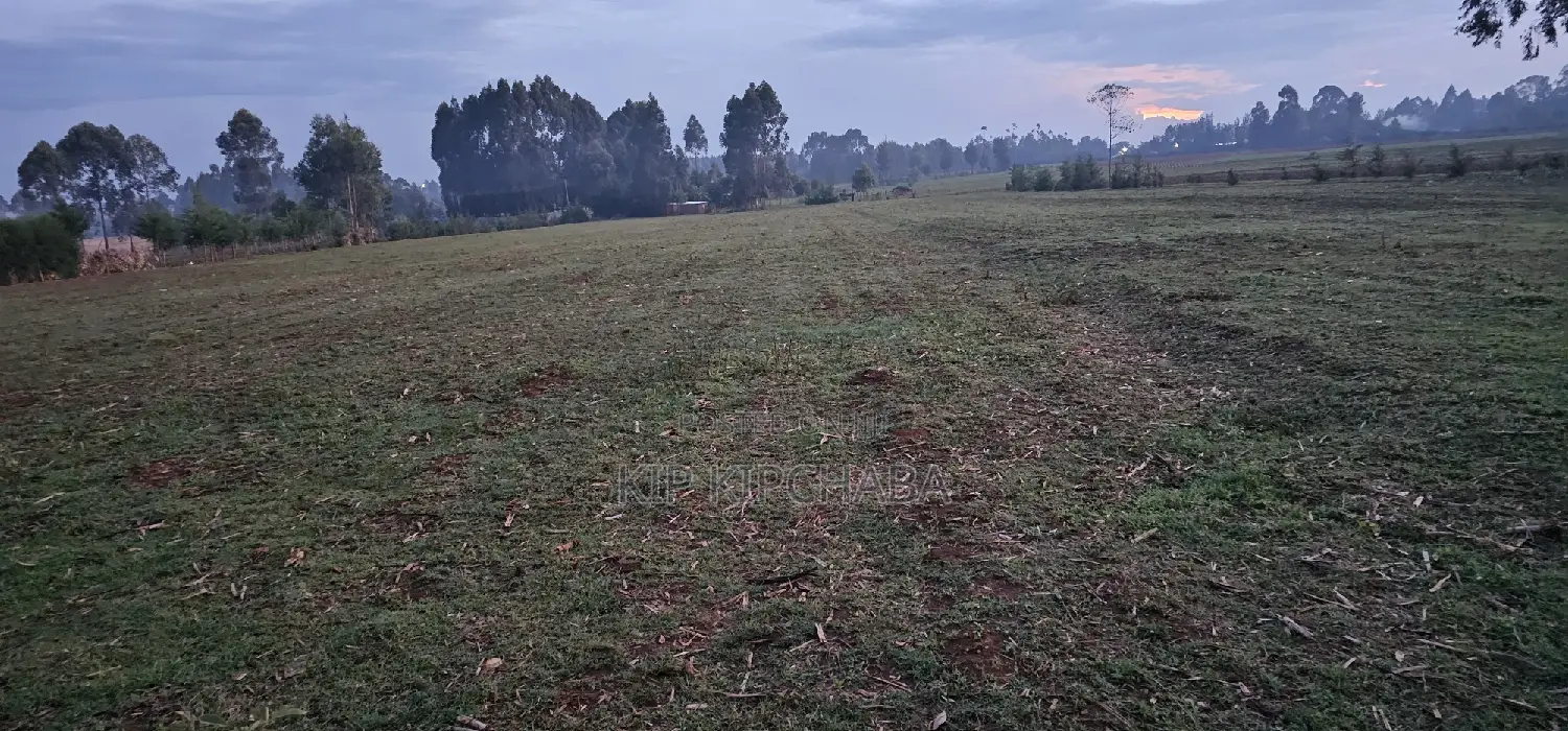 2 Acres of Arable Land For Sale in Eldoret, Kiplombe Kaptebengwet - Great Investment Opportunity in Kimumu