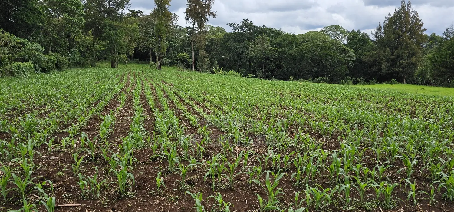 Kapseret, Eldoret: Prime 5-Acre Land - Perfect for Your Next Project in Eldoret CBD