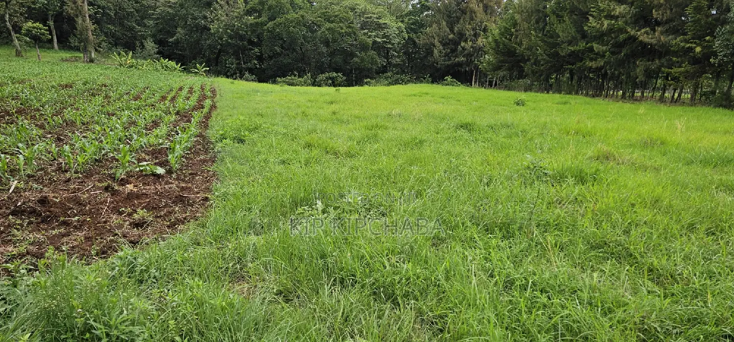 Kapseret, Eldoret: Prime 5-Acre Land - Perfect for Your Next Project in Eldoret CBD
