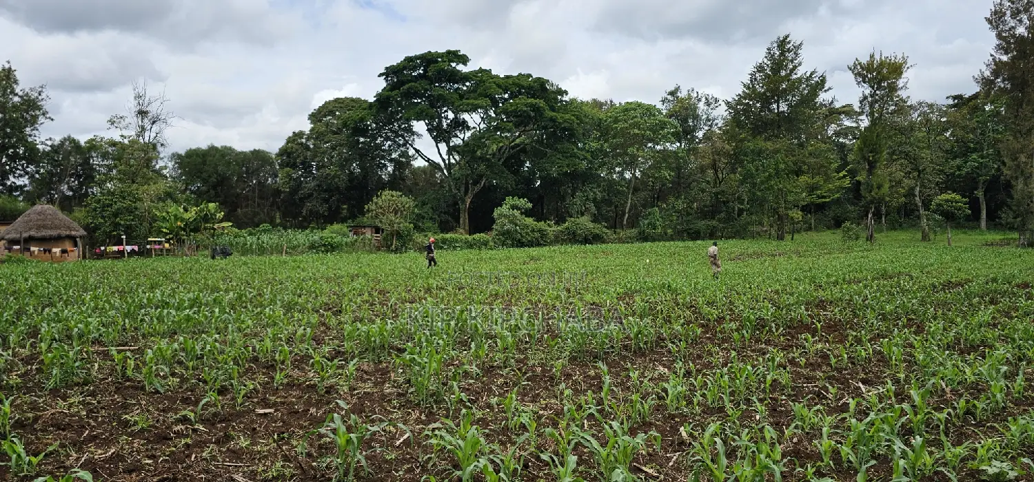 Kapseret, Eldoret: Prime 5-Acre Land - Perfect for Your Next Project in Eldoret CBD