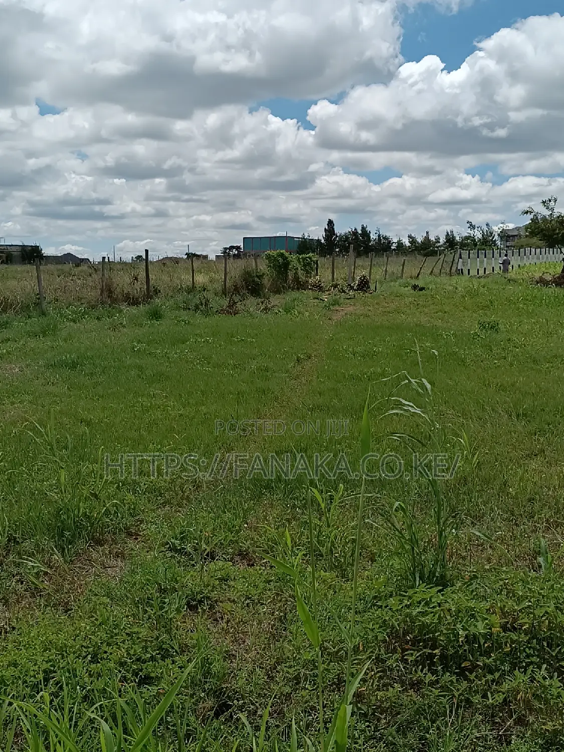 Plots Near KBC Malaa^AC in Malaa