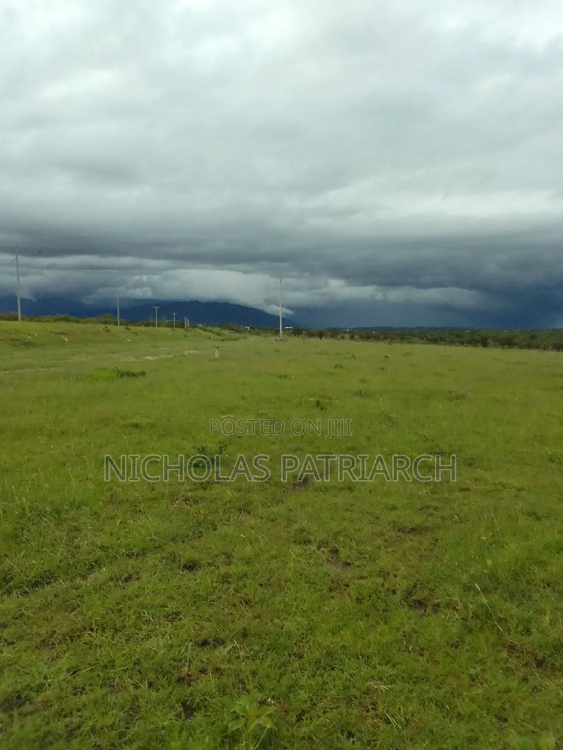 54 Acres Lukenya Near Golden Africa Selling at 19m Per Acre. in Lukenya