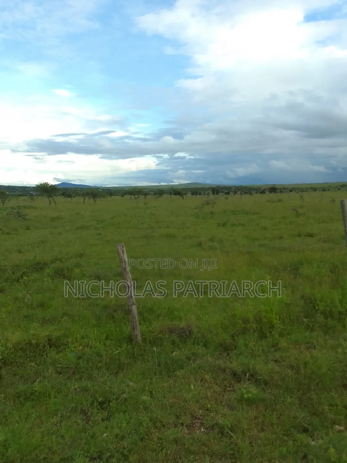 54 Acres Lukenya Near Golden Africa Selling at 19m Per Acre. in Lukenya