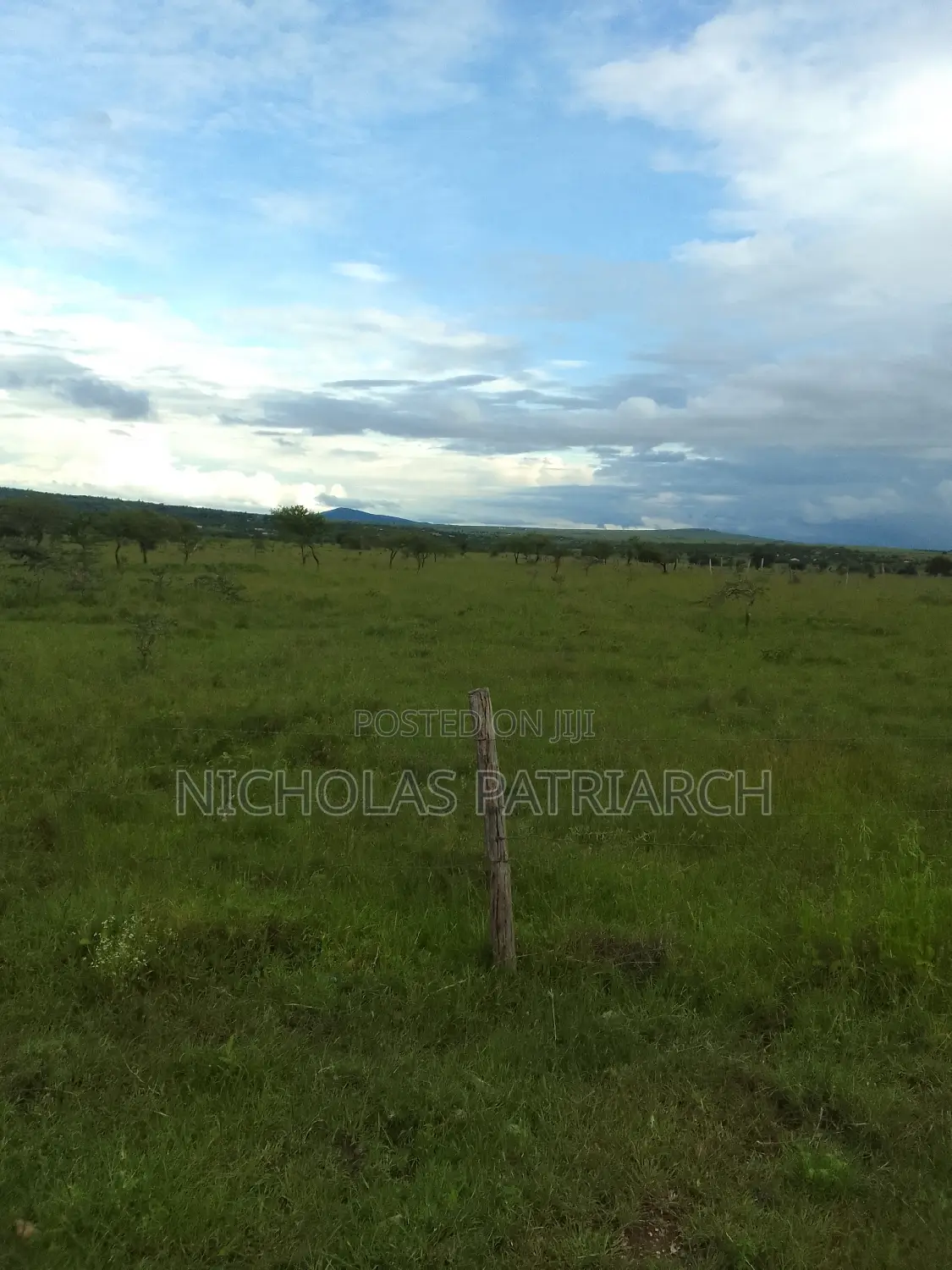 54 Acres Lukenya Near Golden Africa Selling at 19m Per Acre. in Lukenya
