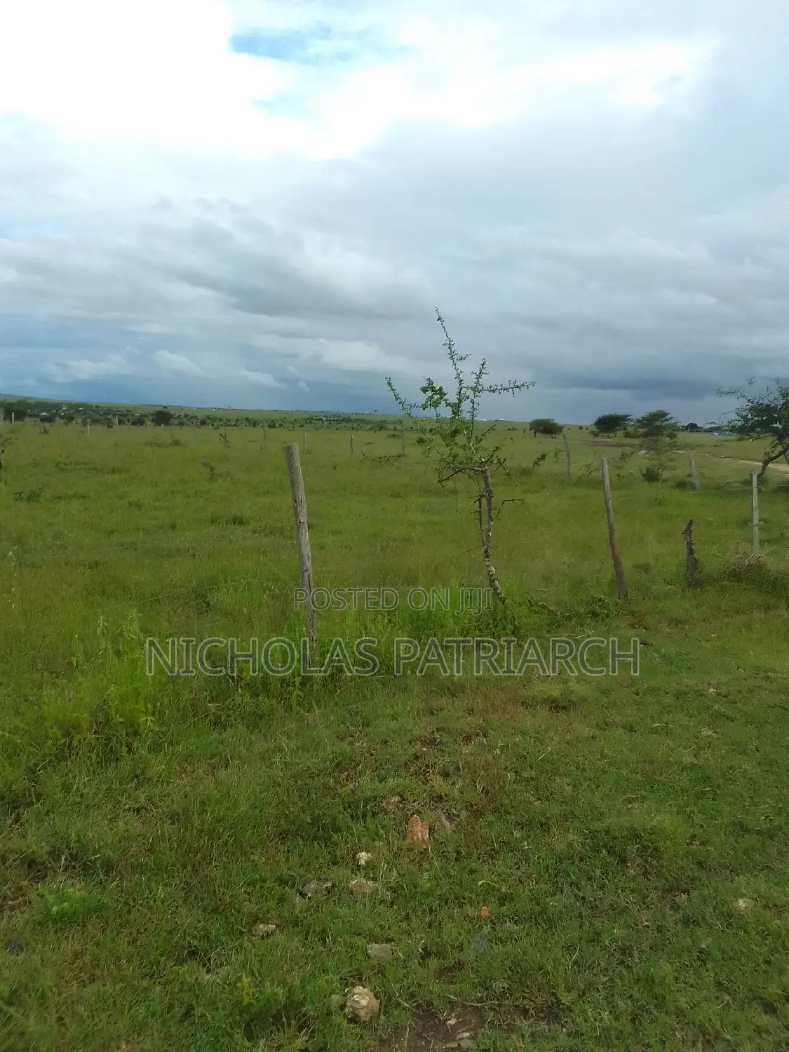 54 Acres Lukenya Near Golden Africa Selling at 19m Per Acre. in Lukenya