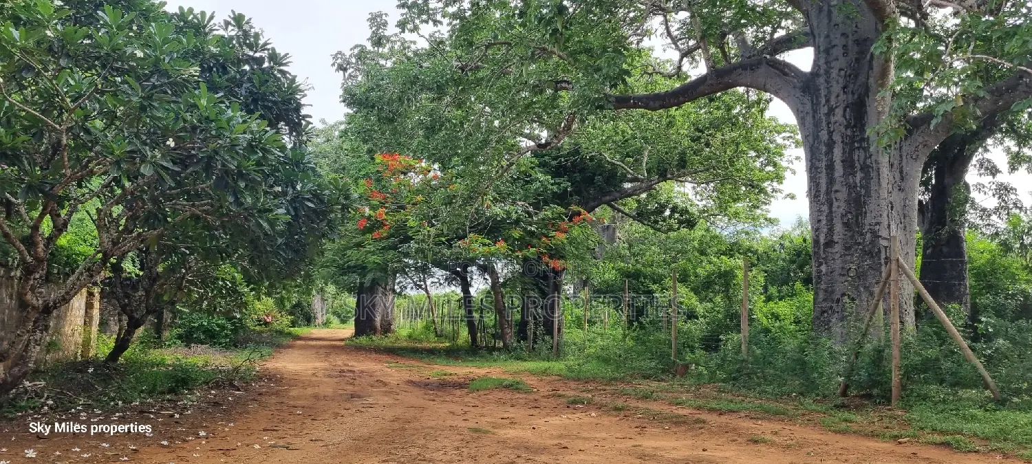 6-Acre Bofa Kilifi Land - Kilifi's Best Kept Secret for Sale in Kilifi Town