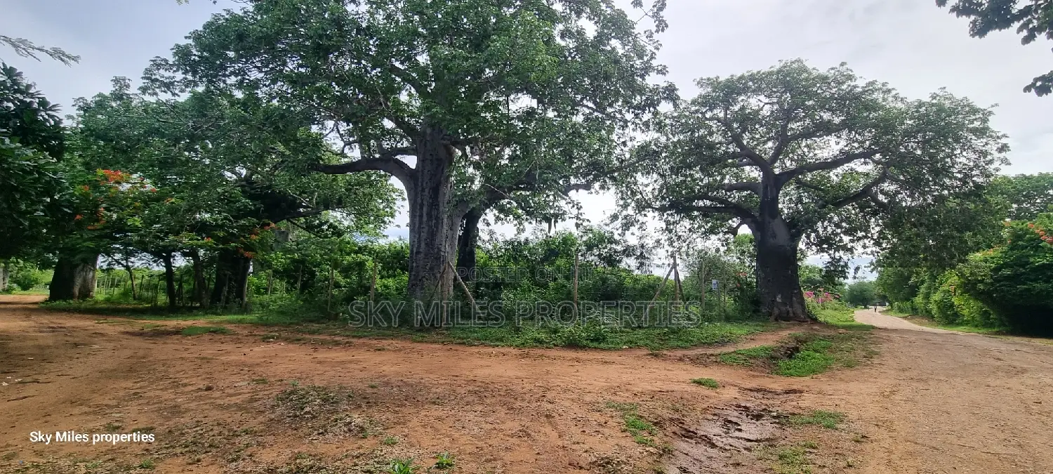 6-Acre Bofa Kilifi Land - Kilifi's Best Kept Secret for Sale in Kilifi Town
