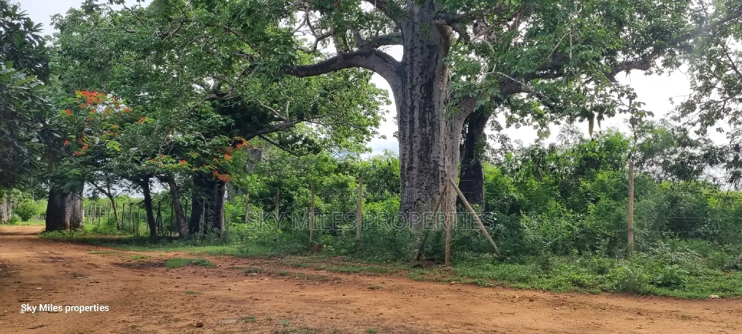 6-Acre Bofa Kilifi Land - Kilifi's Best Kept Secret for Sale in Kilifi Town