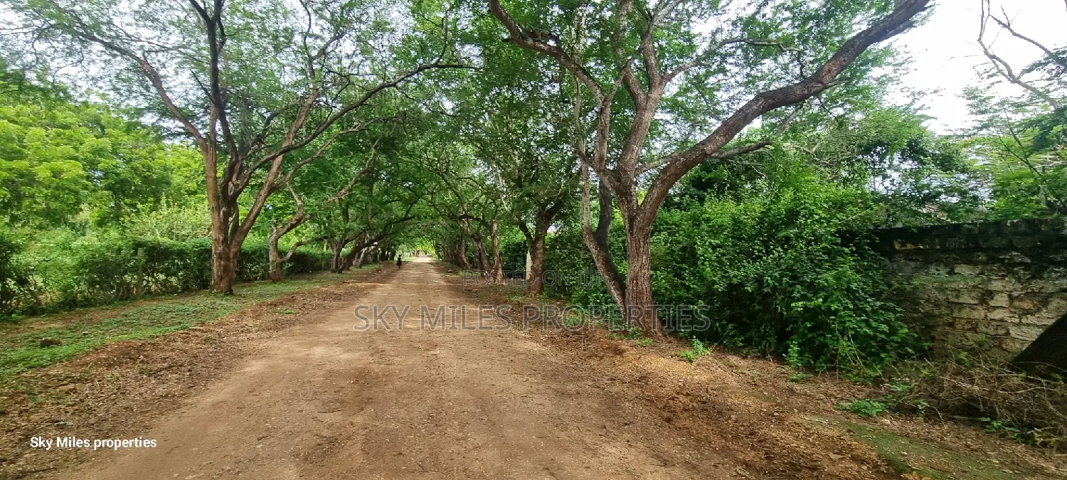6-Acre Bofa Kilifi Land - Kilifi's Best Kept Secret for Sale in Kilifi Town