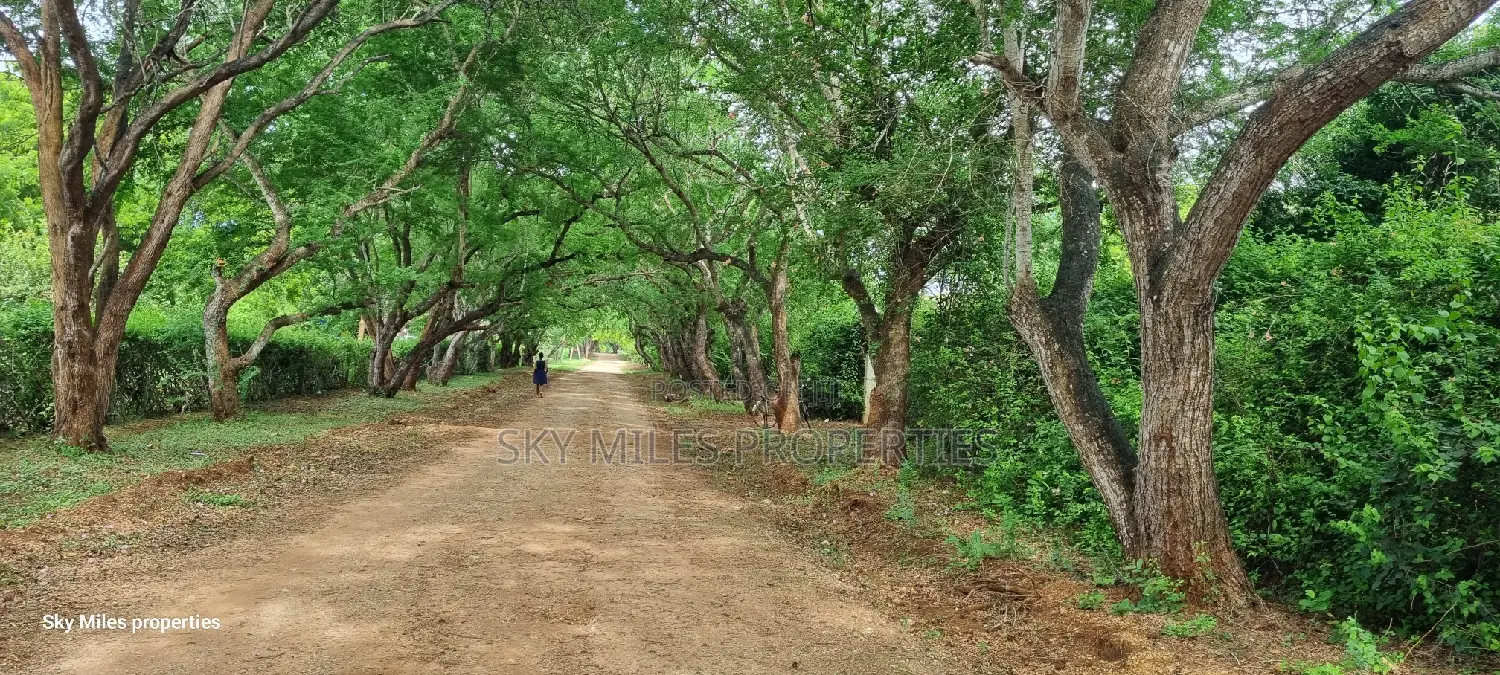 6-Acre Bofa Kilifi Land - Kilifi's Best Kept Secret for Sale in Kilifi Town