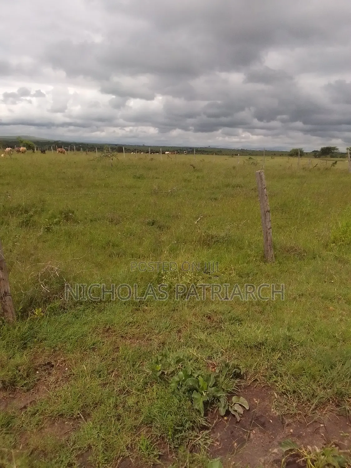 100 Acres Lukenya Daystar Selling at 8m Per Acre. in Lukenya