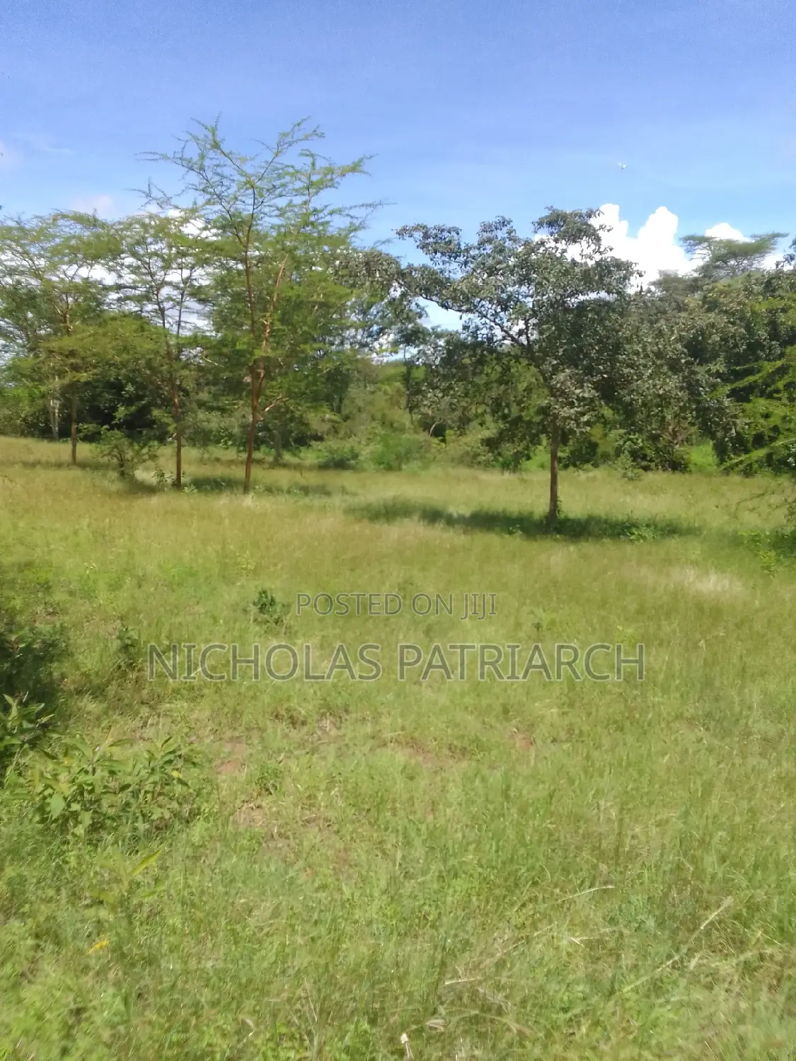 100 Acres Makindu Kizigo 100m From Wote Road at Per Acre in Makindu