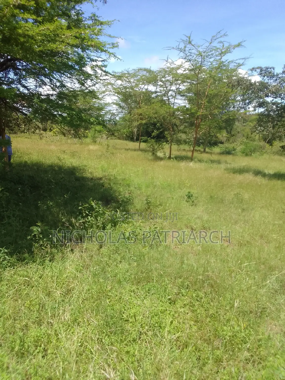 100 Acres Makindu Kizigo 100m From Wote Road at Per Acre in Makindu