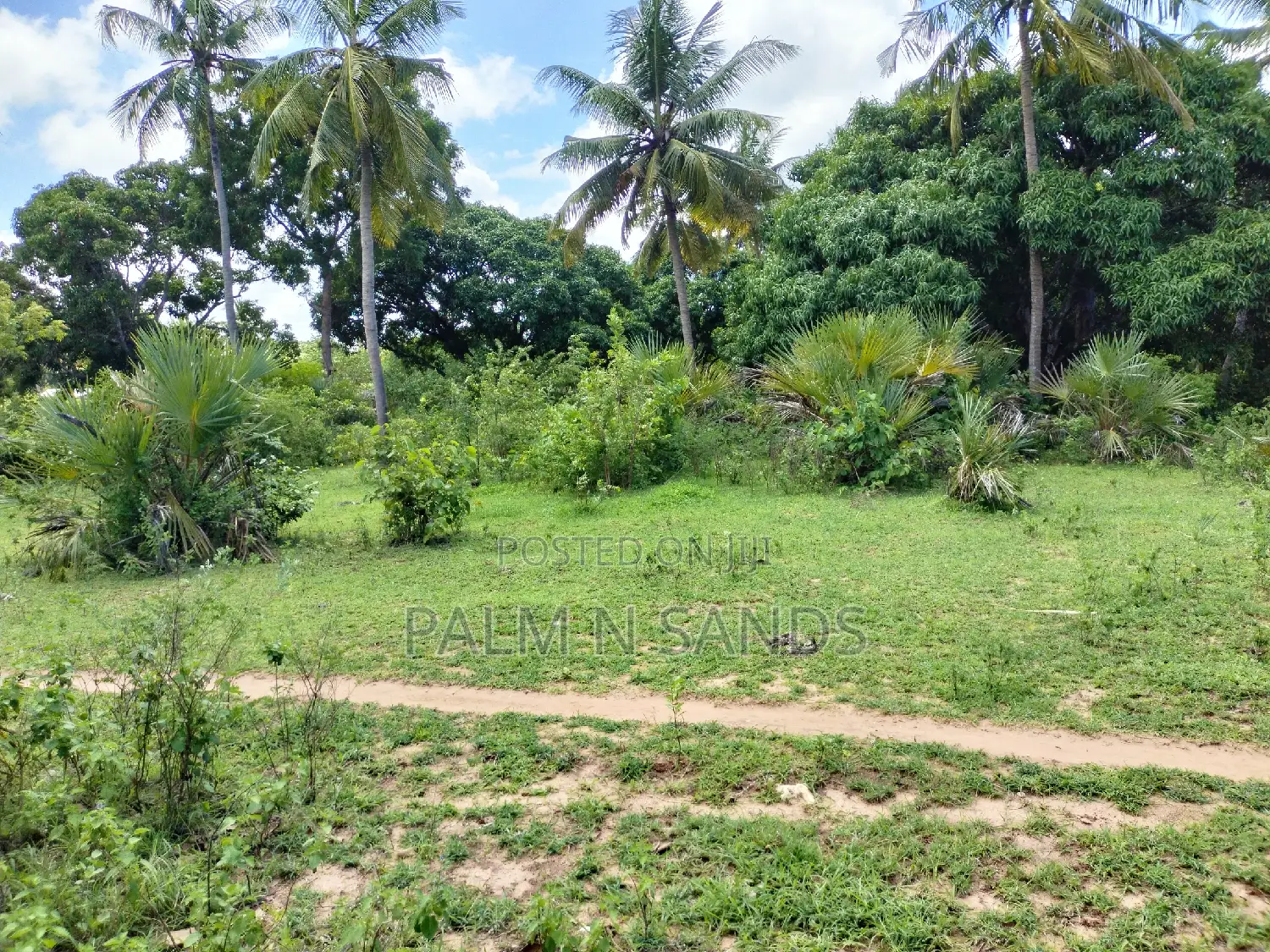 3-Acre Tiwi Land: A Great Investment Opportunity in the Heart of Tiwi in Ukunda