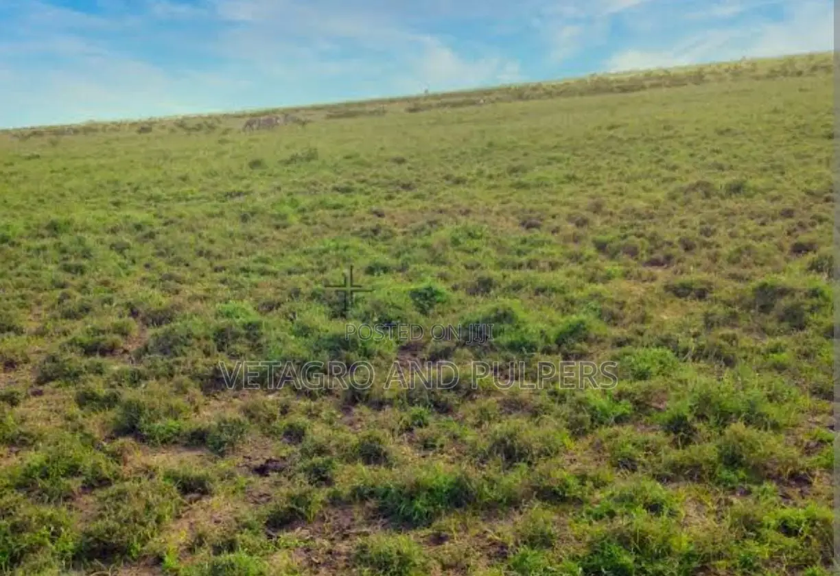 Isinya Springs Land: Ideal for Commercial & Residential Real Estate Projects in Isinya