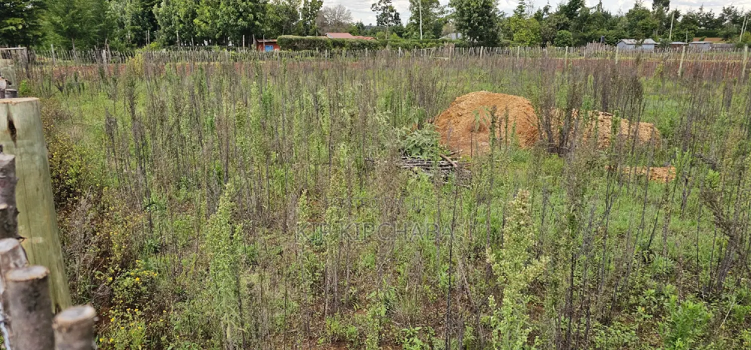 1⁄4 Acre Plot Available in Kaptuli Chembulet Dispensary, Eldoret in Kipkenyo