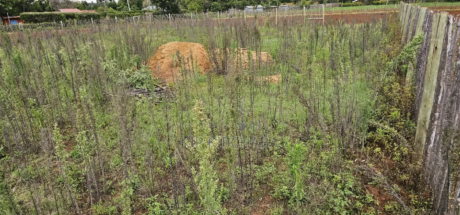 1⁄4 Acre Plot Available in Kaptuli Chembulet Dispensary, Eldoret in Kipkenyo