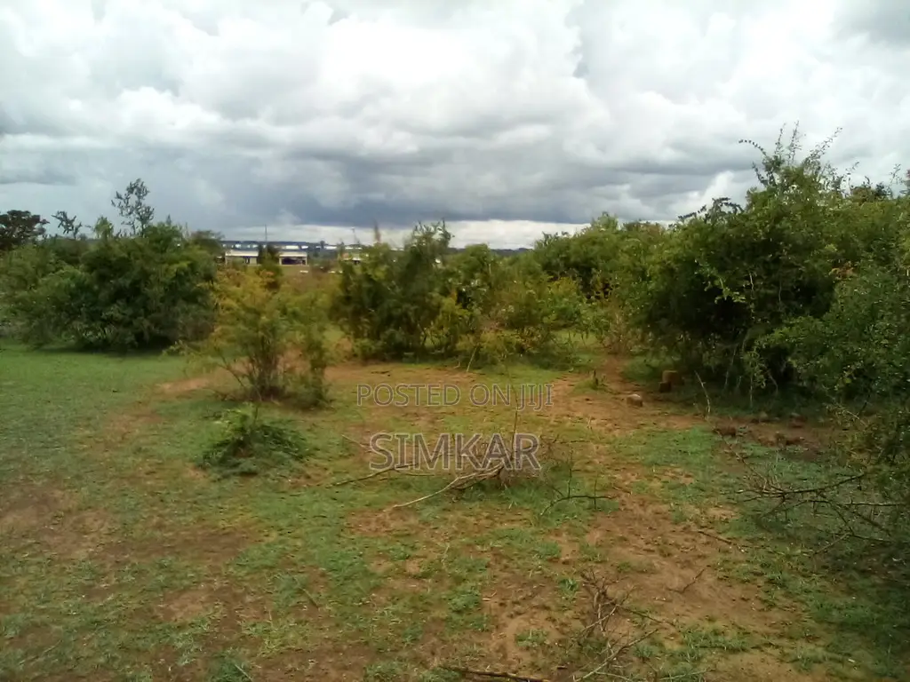 7.1 Acres Land in Thika, Kenya - Investment Opportunity in Makongeni / Thika
