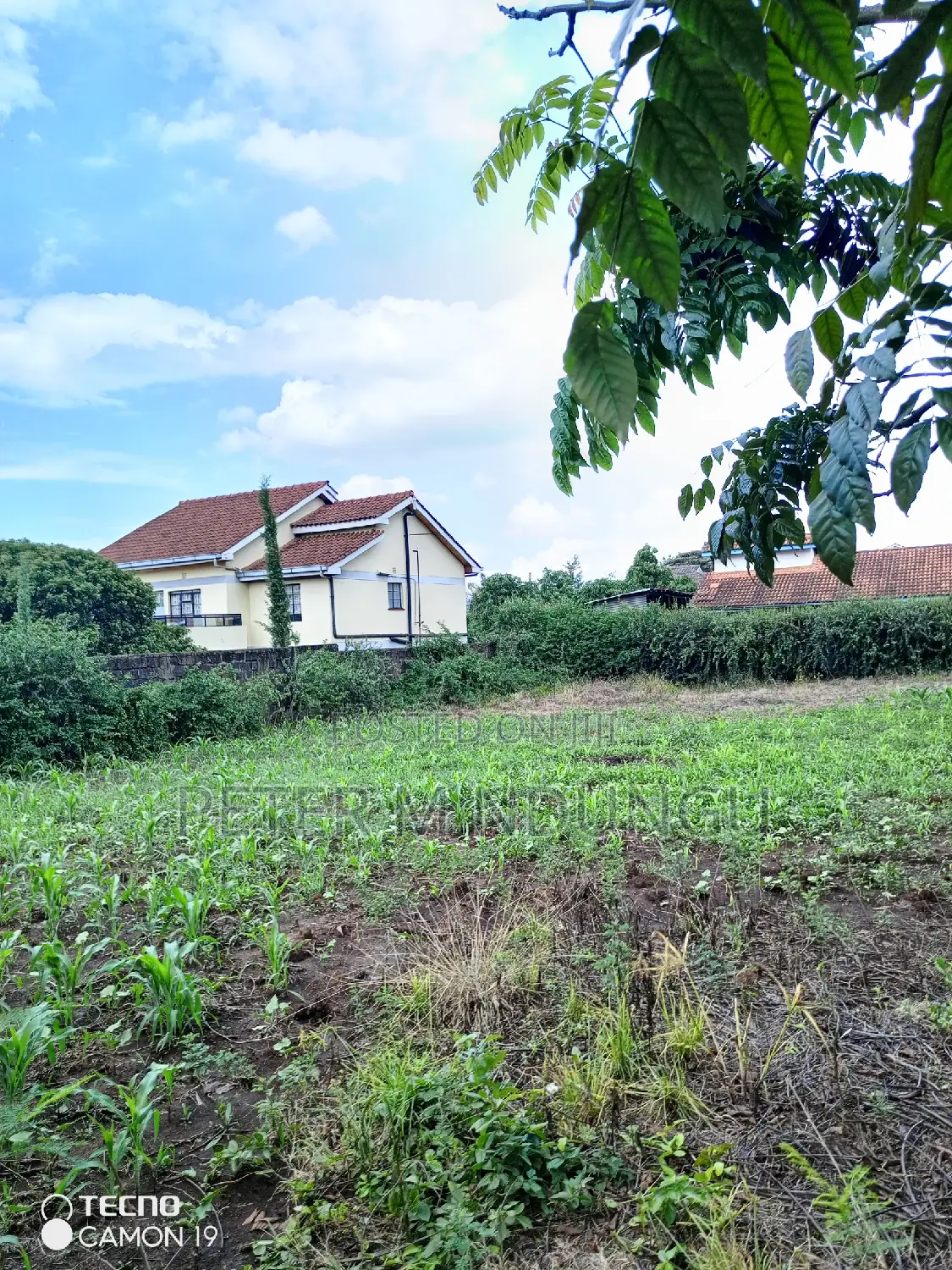 Modern 100*100 Plot for Sale in Kahawa Sukari, Bungoma Road in Kahawa Sukari