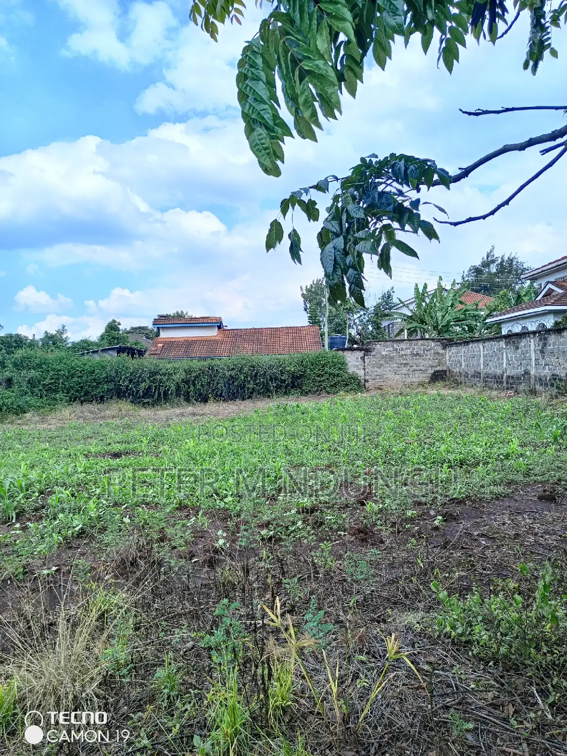 Modern 100*100 Plot for Sale in Kahawa Sukari, Bungoma Road in Kahawa Sukari