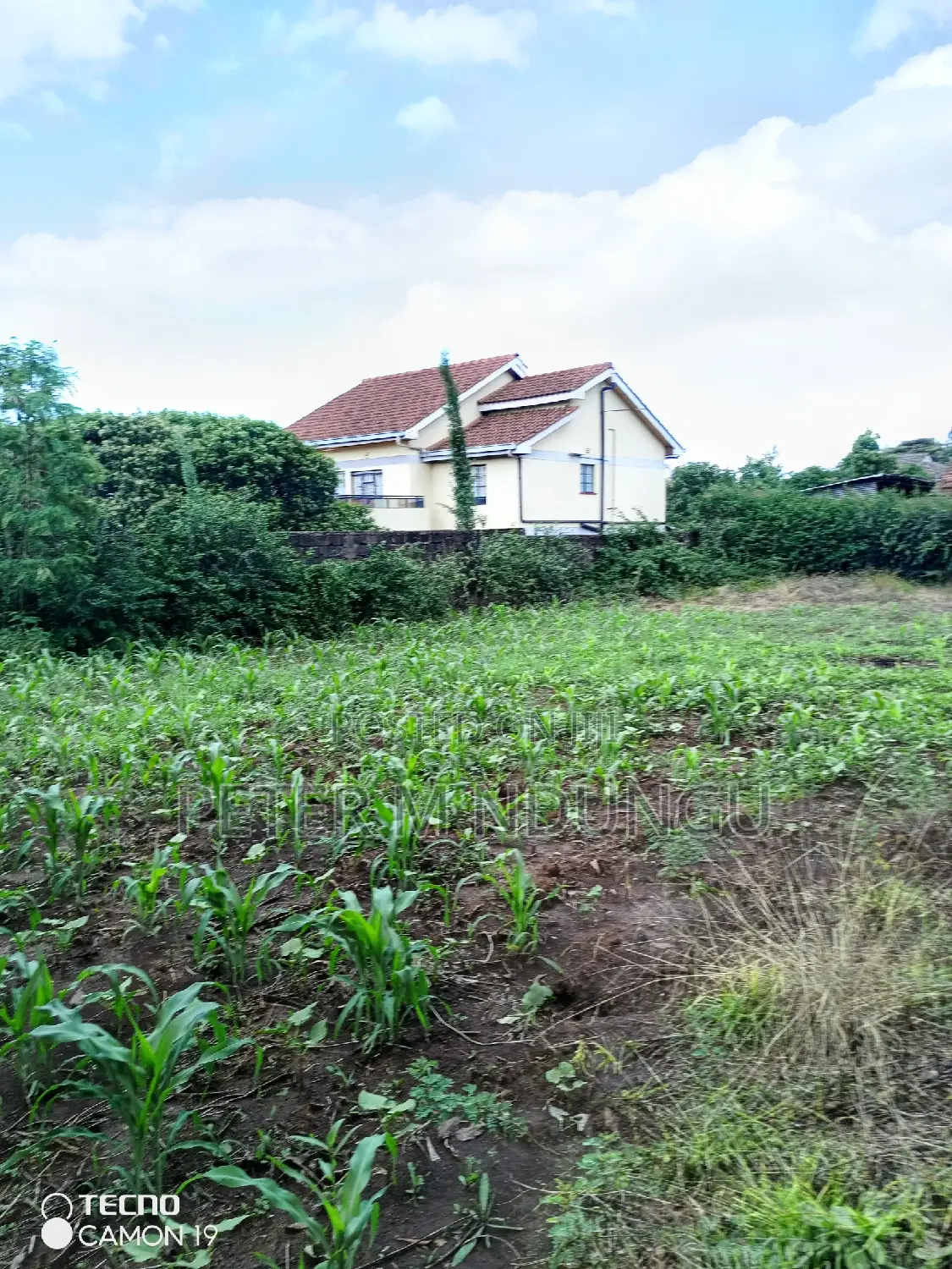 Modern 100*100 Plot for Sale in Kahawa Sukari, Bungoma Road in Kahawa Sukari