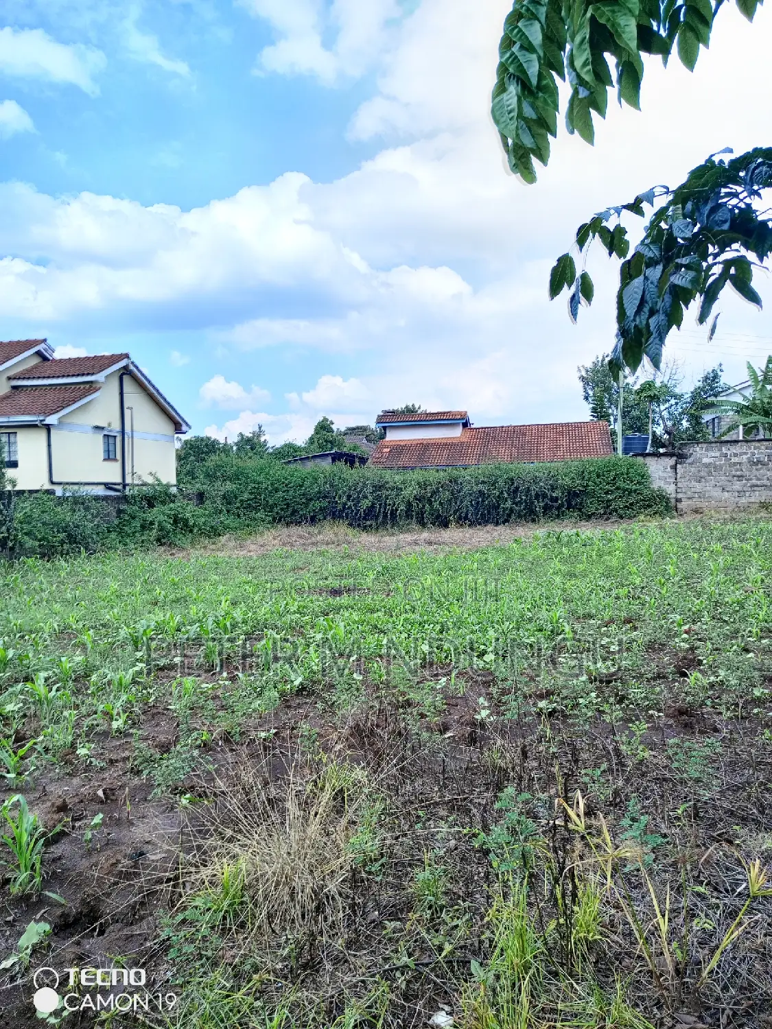 Modern 100*100 Plot for Sale in Kahawa Sukari, Bungoma Road in Kahawa Sukari